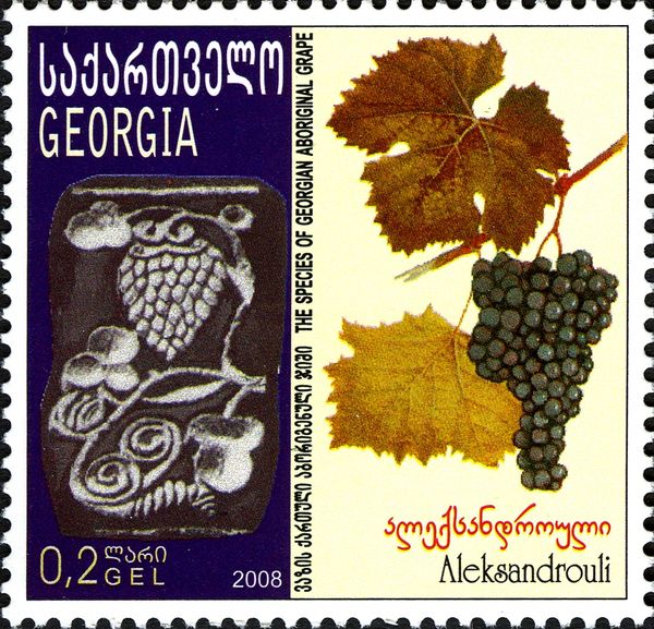 Aleksandrouli Grapes