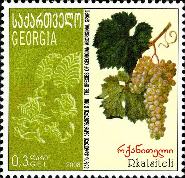 Rkatsiteli Grapes