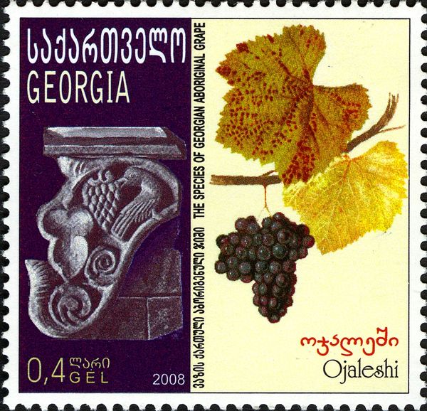 Ojaleshi Grapes