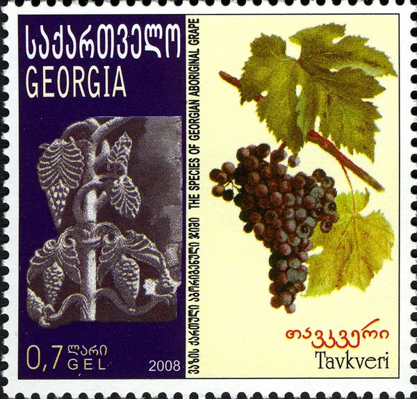 Tavkveri Grapes