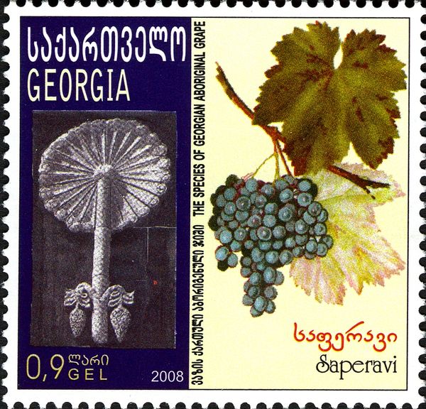 Saperavi Grapes