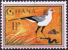 Secretary Bird (Sagittarius serpentarius)