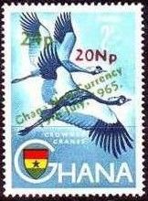 Black Crowned Crane (Balearica pavonina) surcharged