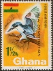 Woodland Kingfisher (Halcyon senegalensis) - overprinted