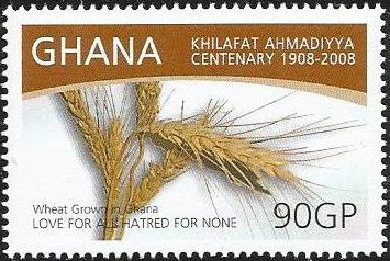 Wheat Grown in Ghana
