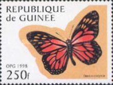 Jamaican Monarch (Danaus cleophile)