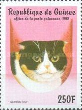 Scottish Fold (Felis silvestris catus)