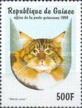 Maine-Coon (Felis silvestris catus)