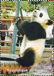 Giant Panda