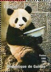 Giant Panda