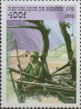 Scouts in canoe
