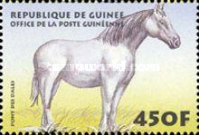 Dales Pony