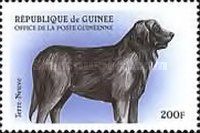 Newfoundland
