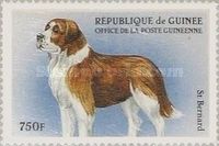 St. Bernard