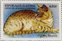 Egyptian Mau