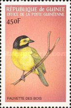 Hooded Warbler (Setophaga citrina)
