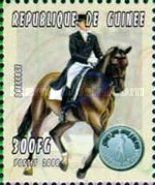 Dressage