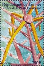 Brittle star
