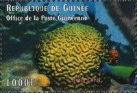 Brain coral