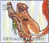 Eastern Woolly Lemur (Avahi laniger)