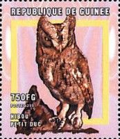 African Scops-Owl (Otus senegalensis)