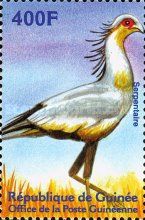 Secretarybird (Sagittarius serpentarius)
