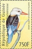 Grey-headed Kingfisher (Halcyon leucocephala)