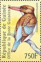 Chocolate-backed Kingfisher (Halcyon badia)