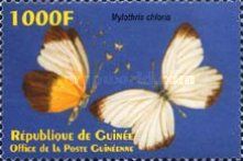 Western Dotted Border (Mylothris chloris)