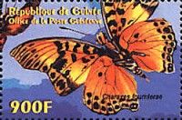 Euphaedra Charaxes (Charaxes fournierae)
