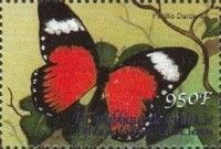 African Swallowtail (Papilio dardanus)
