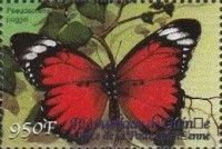 False Monarch (Pseudacraea poggei)