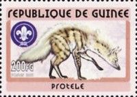 Aardwolf (Proteles cristatus)