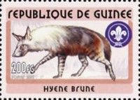 Brown Hyena (Hyaena brunnea)