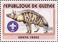 Striped Hyena (Hyaena hyaena)