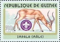 Impala (Aepyceros melampus)