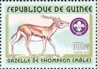 Thomson's Gazelle (Eudorcas thomsoni)