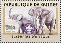 African Elephant (Loxodonta)