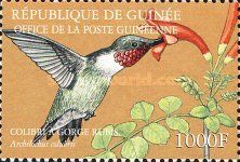 Ruby-throated Hummingbird (Archilochus colubris)