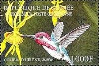 Bee Hummingbird (Mellisuga helenae)