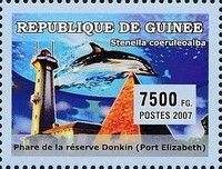 Port Elizabeth,1861 - South Africa, Striped Dolphin (Stenell