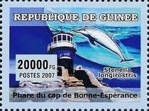 Cape of Good Hope Lighthouse, Spinner Dolphin (Stenella long