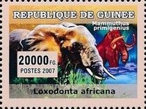 Elephants
