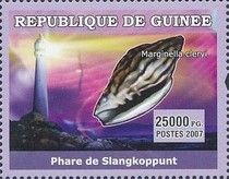 Slangkoppunt Lighthouse + Marginella cleryi