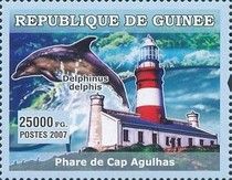 Cape Agulhas Lighthouse, Common Dolphin (Delphinus delphis)