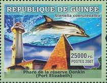 Donkin Reserve Lighthouse, Striped Dolphin (Stenella coerule