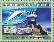 Cape of Good Hope Lighthouse, Spinner Dolphin (Stenella long