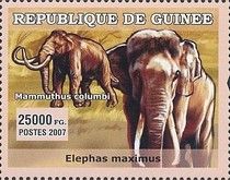 Elephas maximus + Mammuthus columbi
