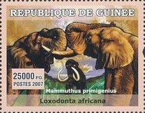 Loxodonta africana + Mammuthus primigenius