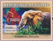 Loxodonta africana + Mammuthus primigenius
